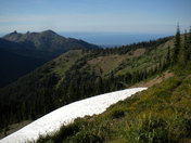Olympic National Forrest