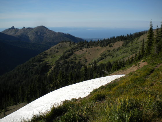 Olympic National Forrest