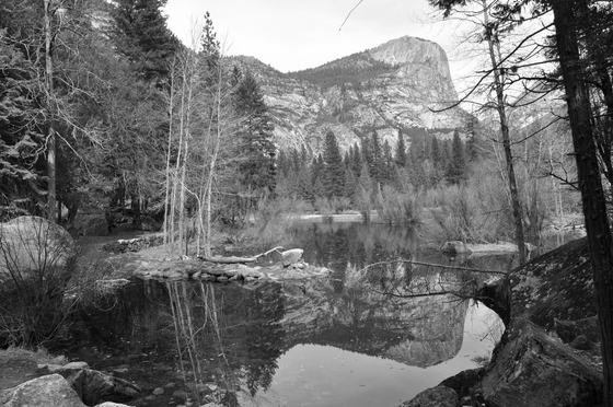 Yosemite National Park