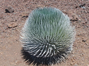 HaleakalÄ National Park