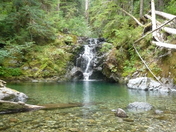 Willamette National Forest