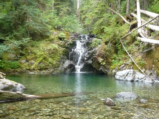 Willamette National Forest