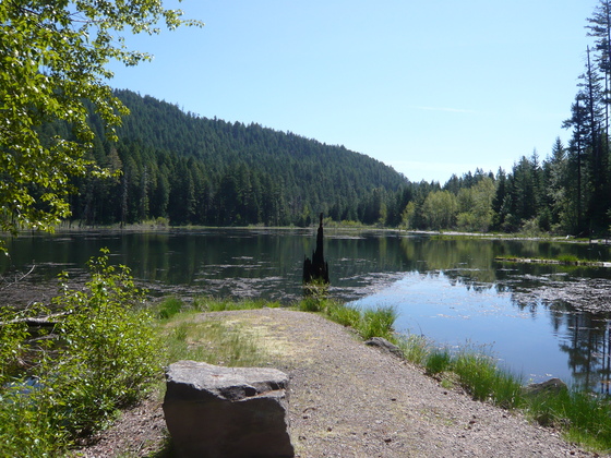 Umpqua National Forest