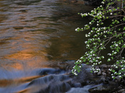 Yosemite