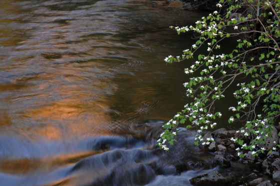 Yosemite