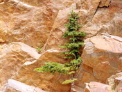 Rocky Mountain National Park