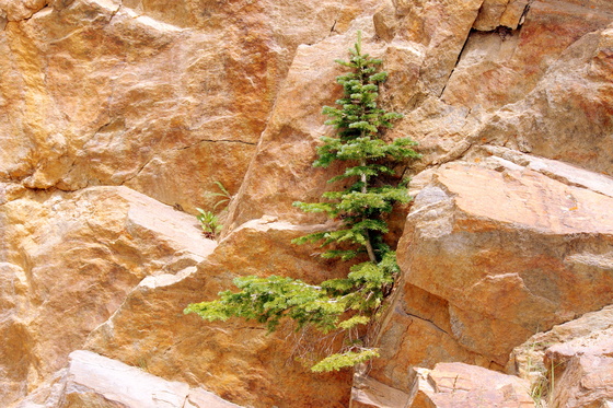 Rocky Mountain National Park