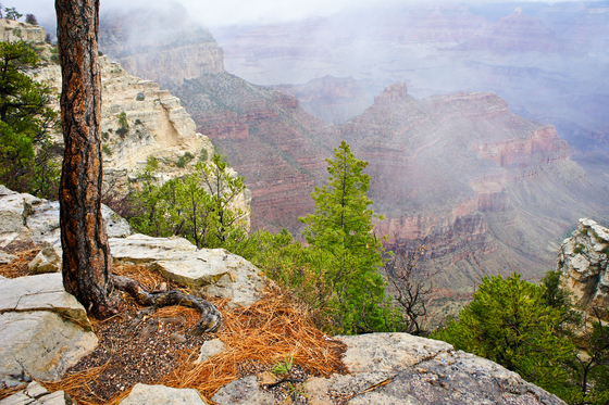 Grand Canyon National Park