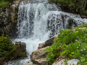 Uncompahgre National Forest
