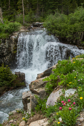 Uncompahgre National Forest
