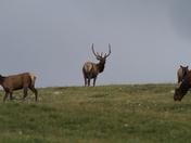 Rocky Mountain National Park