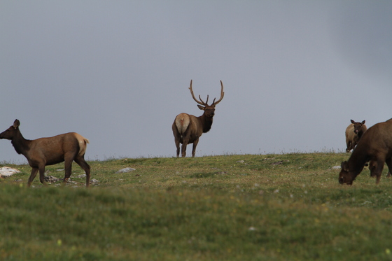 Rocky Mountain National Park