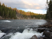 Yellowstone National Park