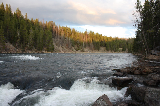 Yellowstone National Park