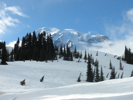Mount Rainier National Park