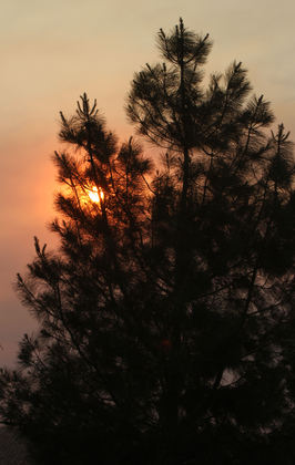 Angeles Nat'l Forest