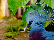 I've Got My Eye On You