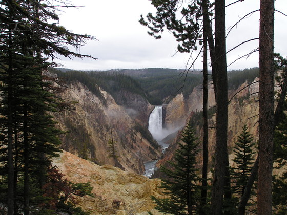 Yellowstone