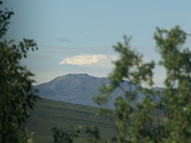 Denali National Park