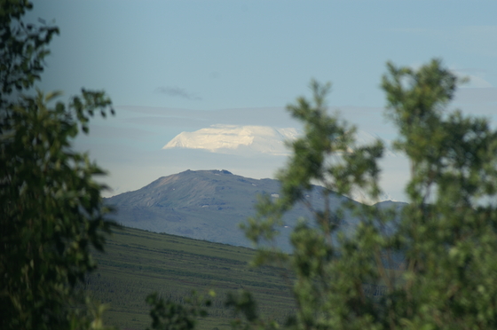 Denali National Park