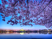 National Mall and Memorial Parks