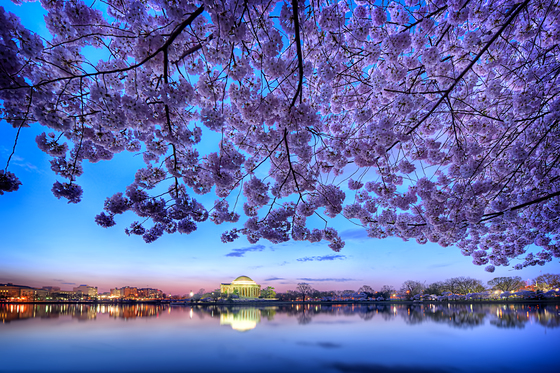 National Mall and Memorial Parks