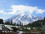 Mount Rainer National Park 