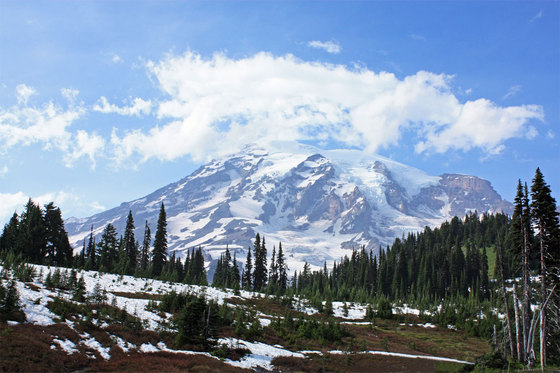 Mount Rainer National Park 