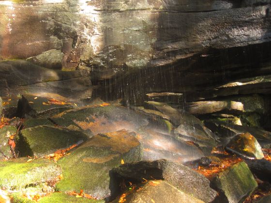 Pisgah National Forest