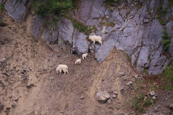 Kenai Fjords National Park