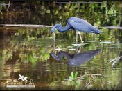 I'm Looking At You, No, Me