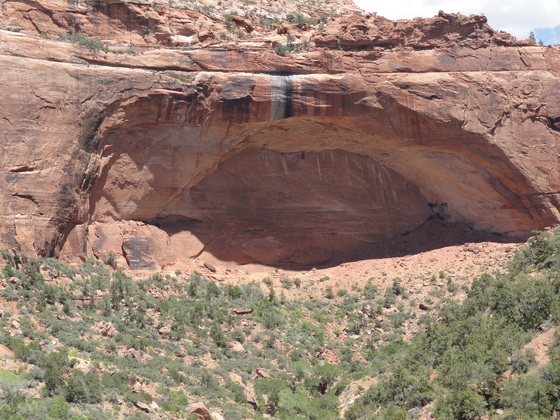 Zion National Park