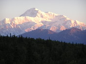 Denali National Park