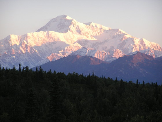 Denali National Park