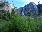 Yosemite National Park