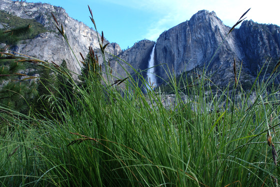 Yosemite National Park