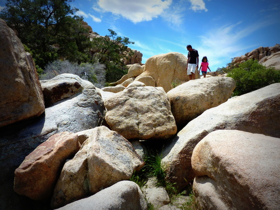 Joshua Tree National Park