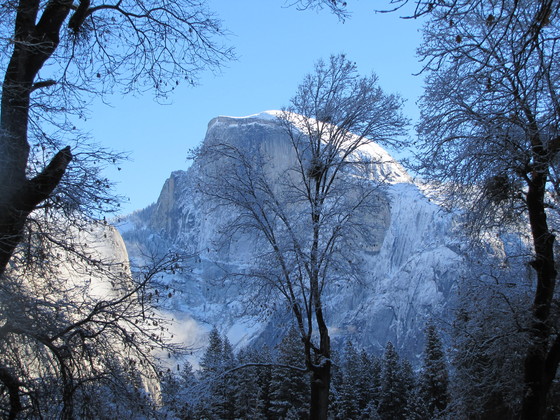 Yosemite NP