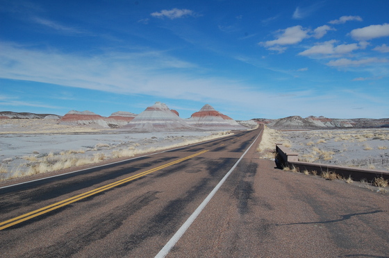 Petrified Forest National Park
