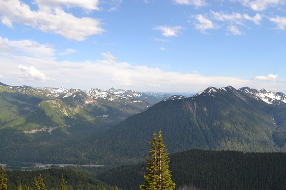 Mount Rainier