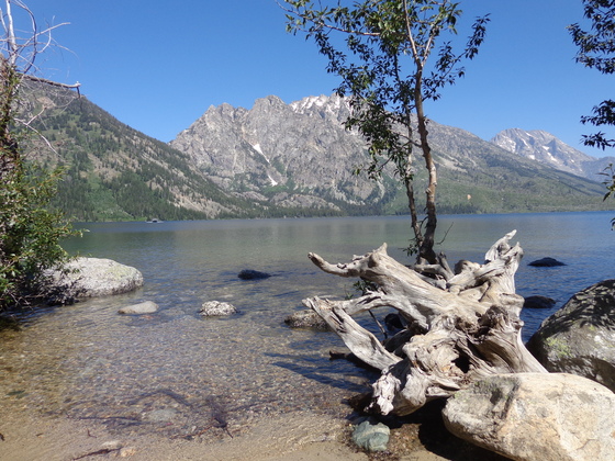 Grand Teton National Park
