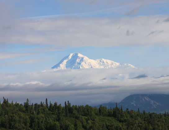 Denali National Park