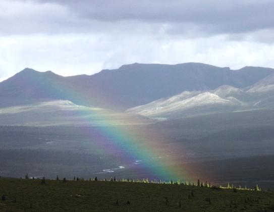 Denali National Park