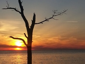 Chesapeake Bay waters