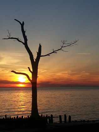 Chesapeake Bay waters