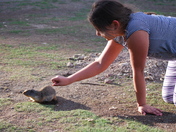 Connecting with Nature