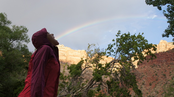 Zion National Park 