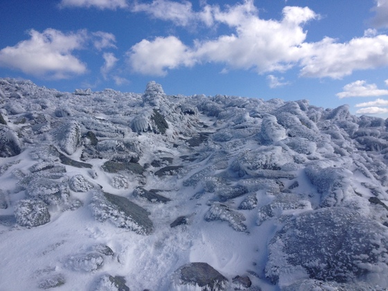 White Mountain National Forest