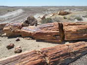 Petrified National Forest