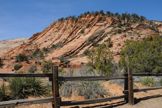 Zion National Park